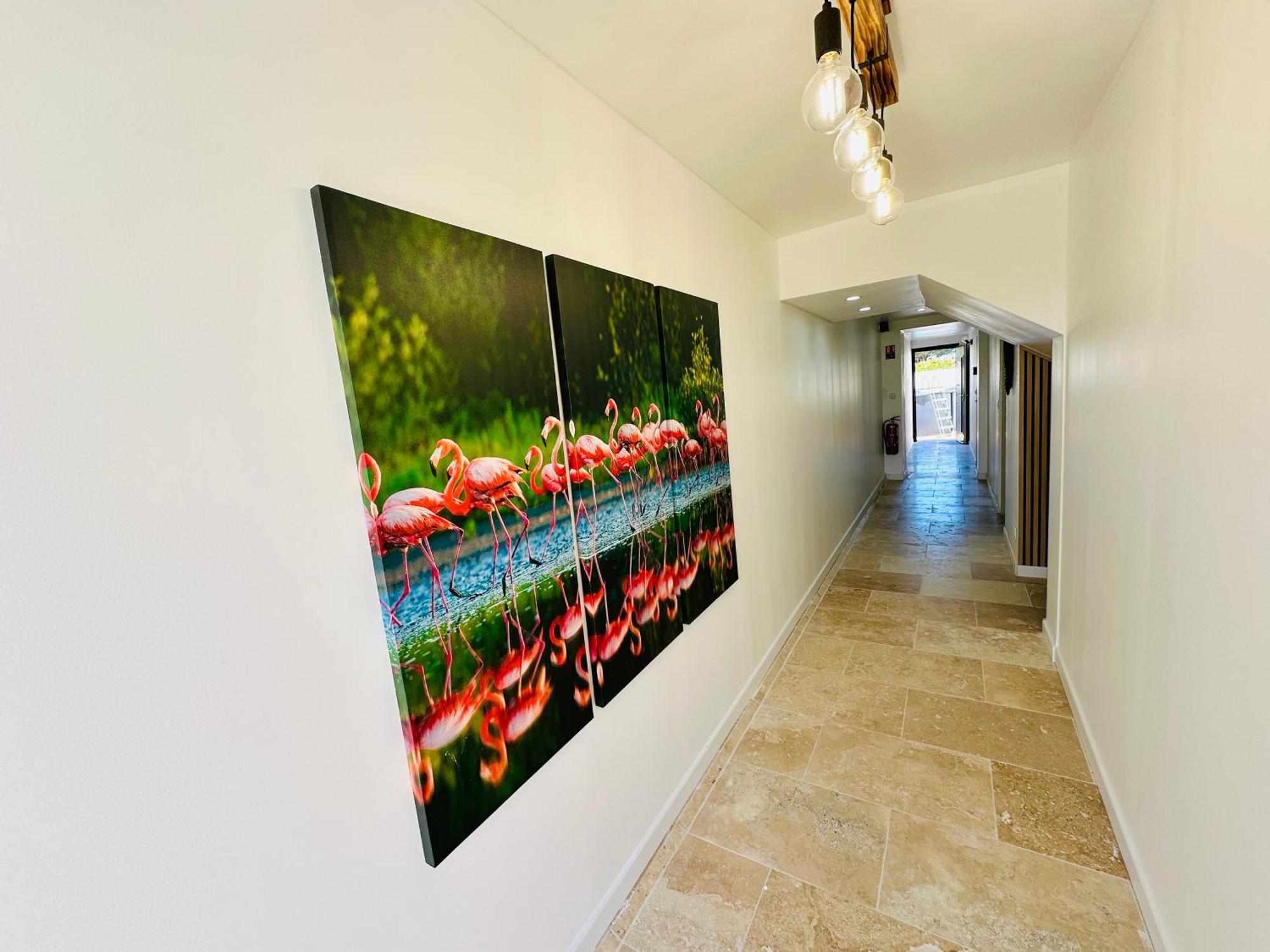 Les Appartements Du Mas - Rose Marie Aigues-Mortes Ngoại thất bức ảnh